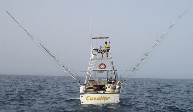 Gran Canaria fiske nyheter - Cavalier & Blue Marlin Sport Fishing Gran Canaria