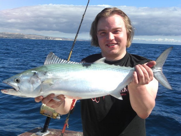 NORTH ATLANTIC BONITO Heute Morgen haben wir sie wirklich gesehen - Cavalier & Blue Marlin Sport Fishing Gran Canaria