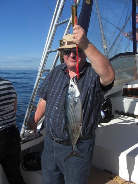 atlantic bonito Cavalier & Blue Marlin Sport Fishing Gran Canaria