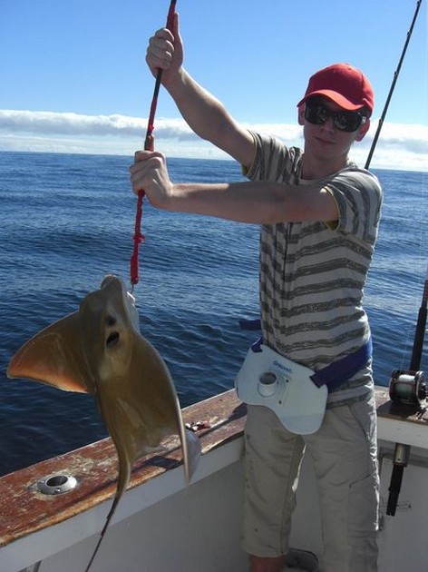 Eagle Ray Cavalier & Blue Marlin Sport Fishing Gran Canaria