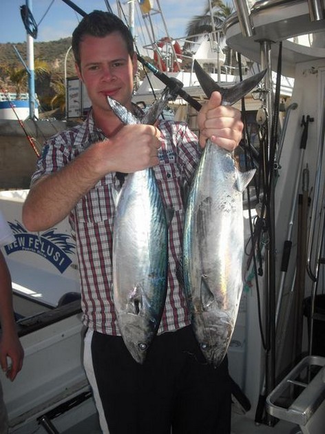atlantic bonito Cavalier & Blue Marlin Sport Fishing Gran Canaria