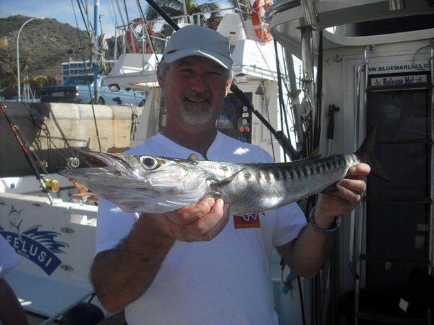 barracuda Cavalier & Blue Marlin Sport Fishing Gran Canaria