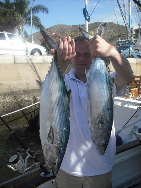 atlantic bonito Cavalier & Blue Marlin Sport Fishing Gran Canaria