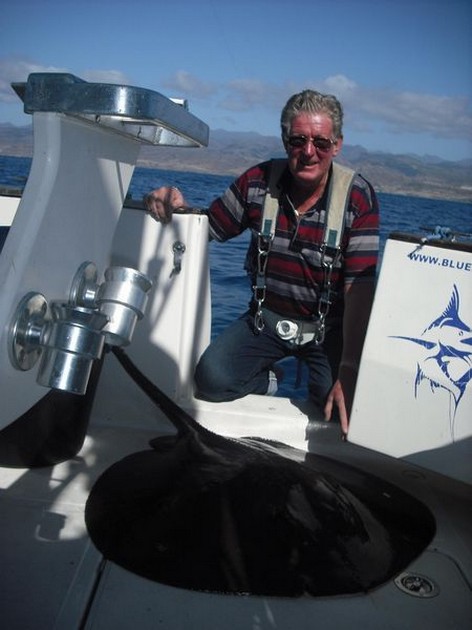 common stingray Cavalier & Blue Marlin Sport Fishing Gran Canaria
