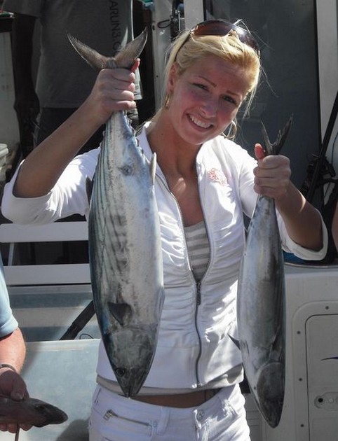 noth atlantic bonito Cavalier & Blue Marlin Sport Fishing Gran Canaria