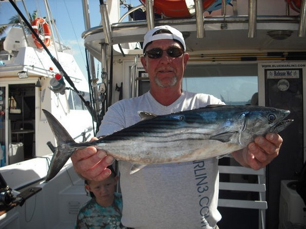 SUNNY 24 GRADER Halva Europa ligger nu i - Cavalier & Blue Marlin Sport Fishing Gran Canaria