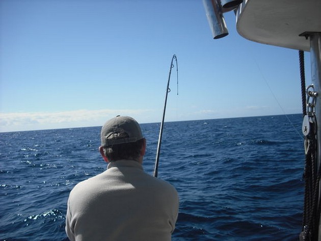 NUNCA SABES ? Ayer los mejores resultados de pesca - Cavalier & Blue Marlin Sport Fishing Gran Canaria