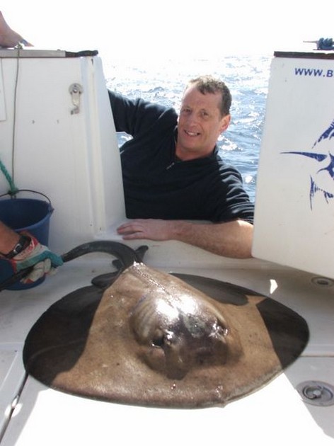 round stingray Cavalier & Blue Marlin Sport Fishing Gran Canaria