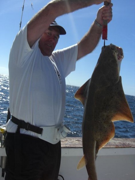 angelshark Cavalier & Blue Marlin Sport Fishing Gran Canaria