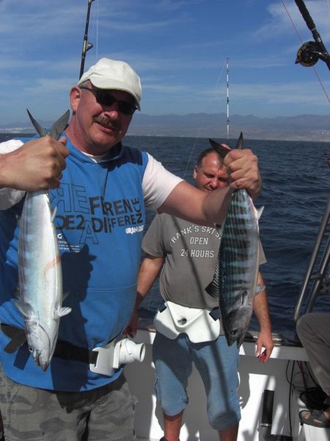 atlantic bonito Cavalier & Blue Marlin Sport Fishing Gran Canaria