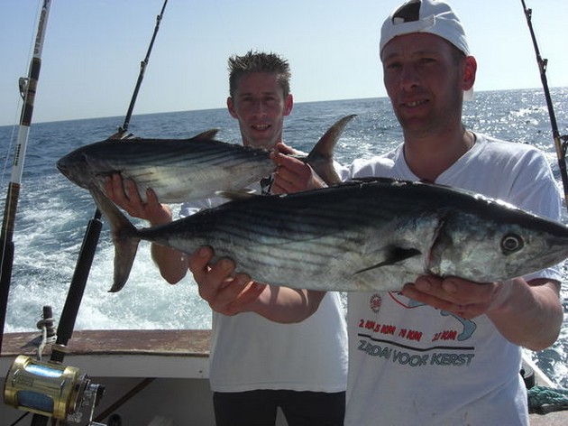 atlantic bonito Cavalier & Blue Marlin Sport Fishing Gran Canaria