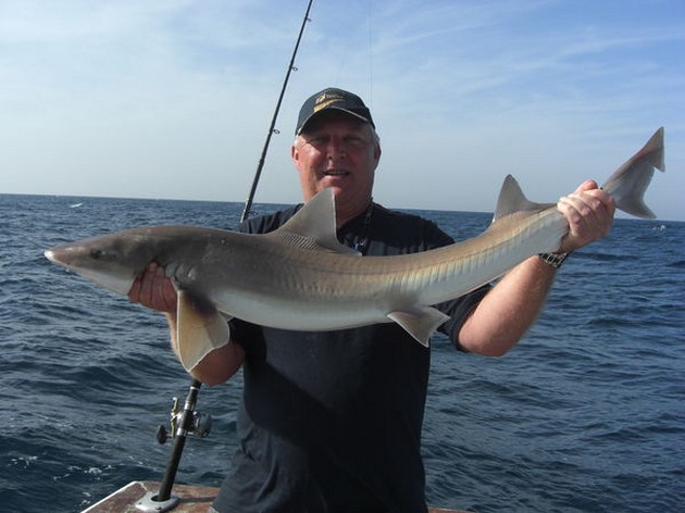 12/02 smooth-hound shark Cavalier & Blue Marlin Sport Fishing Gran Canaria