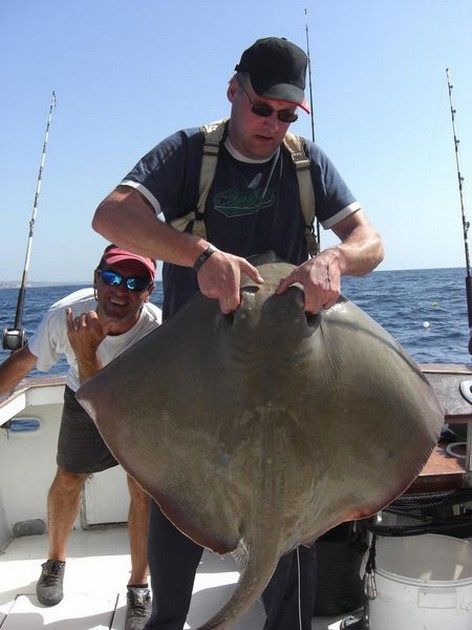 common stingray Cavalier & Blue Marlin Sport Fishing Gran Canaria