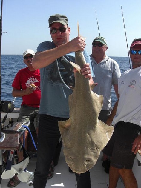 angelshark Cavalier & Blue Marlin Sport Fishing Gran Canaria