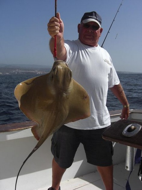 eagle ray Cavalier & Blue Marlin Sport Fishing Gran Canaria