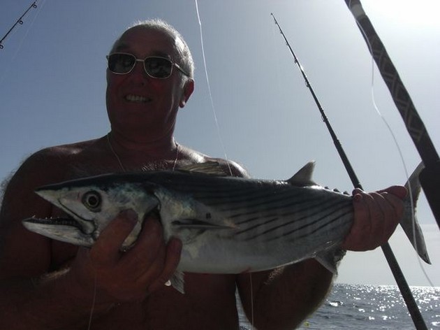 atlantic bonito Cavalier & Blue Marlin Sport Fishing Gran Canaria