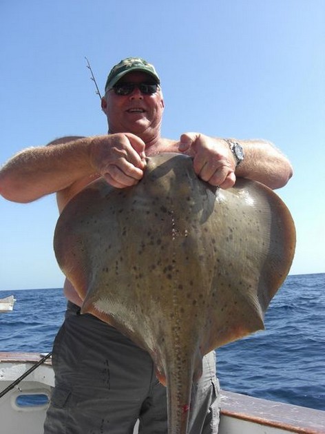 roughtail stingray Cavalier & Blue Marlin Sport Fishing Gran Canaria