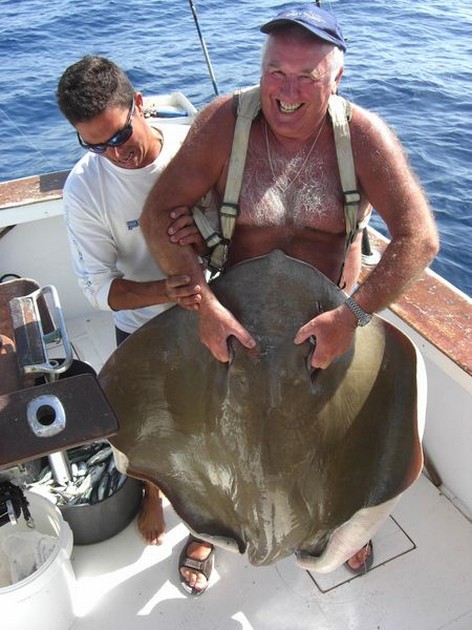 common stingray Cavalier & Blue Marlin Sport Fishing Gran Canaria