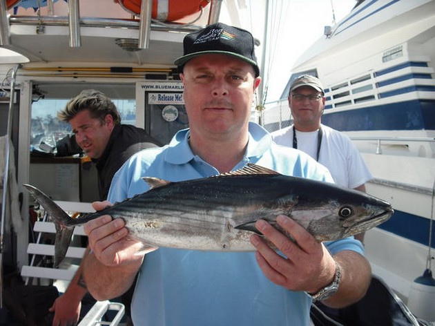 atlantic bonito Cavalier & Blue Marlin Sport Fishing Gran Canaria