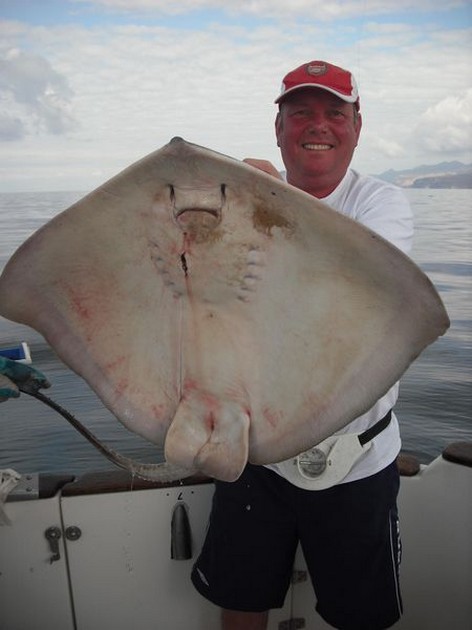 roughtail stingray Cavalier & Blue Marlin Sport Fishing Gran Canaria