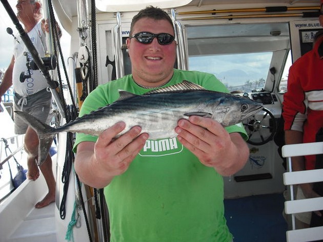 atlantic bonito Cavalier & Blue Marlin Sport Fishing Gran Canaria