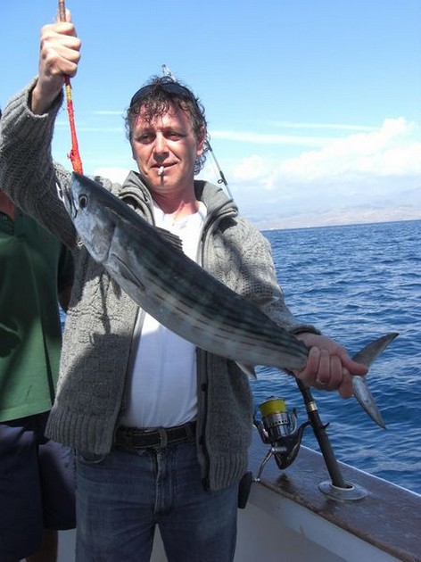 atlantic bonito Cavalier & Blue Marlin Sport Fishing Gran Canaria