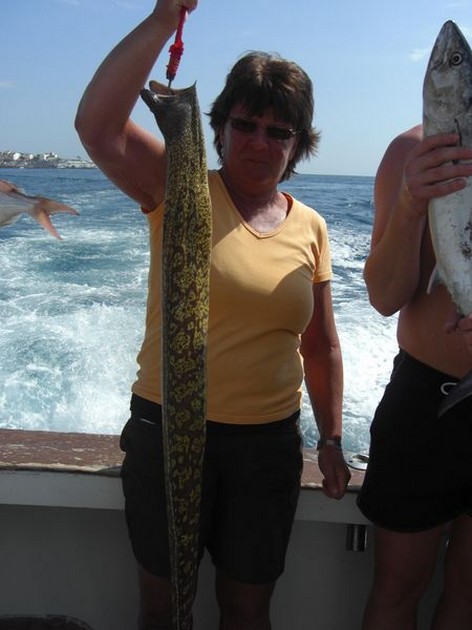 tiger moray Cavalier & Blue Marlin Sport Fishing Gran Canaria