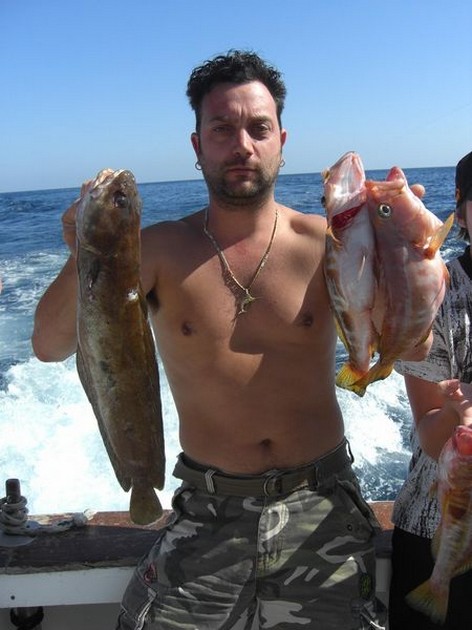 forkbeard-combers Cavalier & Blue Marlin Sport Fishing Gran Canaria