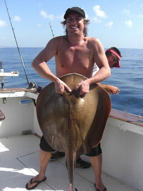common stingray Cavalier & Blue Marlin Sport Fishing Gran Canaria