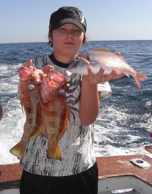 snapper - comber Cavalier & Blue Marlin Sport Fishing Gran Canaria
