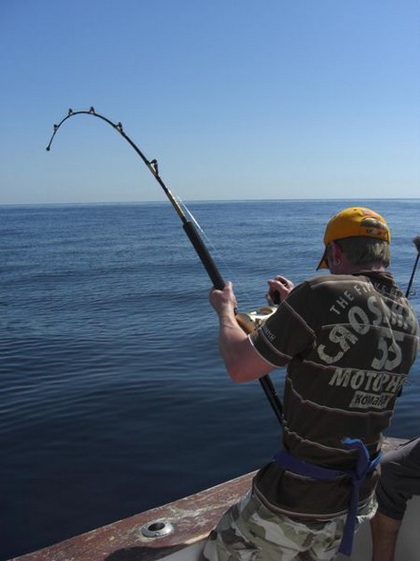 hook up Cavalier & Blue Marlin Sport Fishing Gran Canaria