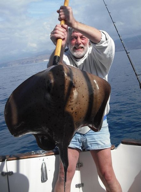 roughtail stingray Cavalier & Blue Marlin Sport Fishing Gran Canaria