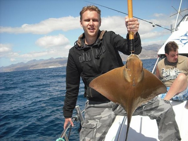 EAGLE RAYS<br><br>Yesterday there was caught on the Cavalier, - Cavalier & Blue Marlin Sport Fishing Gran Canaria