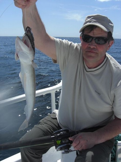 MODERAT Blue Marlin 3 har trollat under - Cavalier & Blue Marlin Sport Fishing Gran Canaria