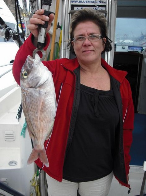 red snapper Cavalier & Blue Marlin Sport Fishing Gran Canaria