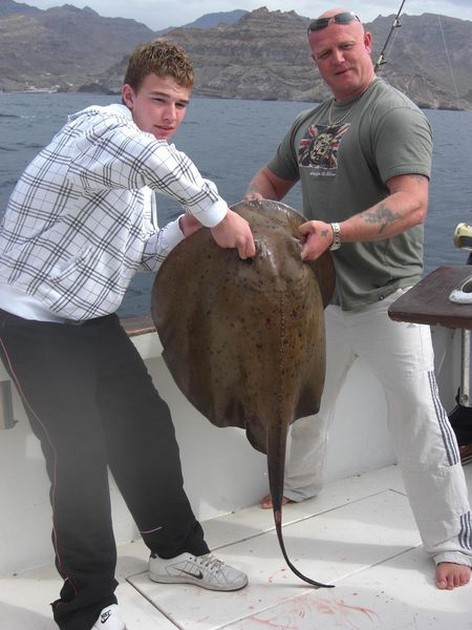 roughtail stingray Cavalier & Blue Marlin Sport Fishing Gran Canaria
