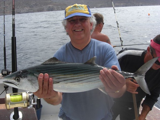 atlantic bonito Cavalier & Blue Marlin Sport Fishing Gran Canaria