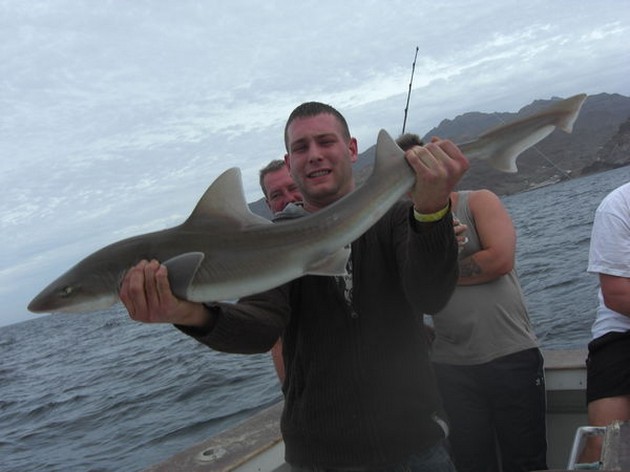 tope shark Cavalier & Blue Marlin Sport Fishing Gran Canaria