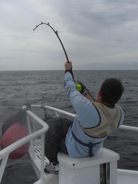 GODA RESULTAT Efter två måttliga fiskedagar, båda - Cavalier & Blue Marlin Sport Fishing Gran Canaria