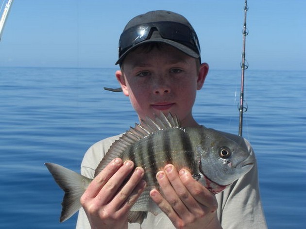 white seabream Cavalier & Blue Marlin Sport Fishing Gran Canaria