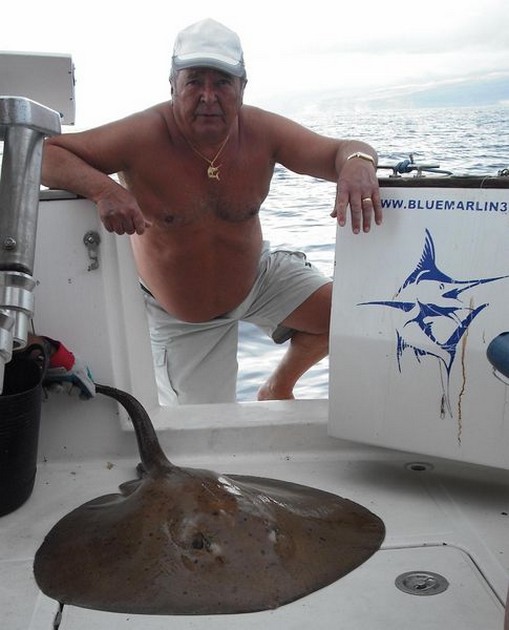 round stingray Cavalier & Blue Marlin Sport Fishing Gran Canaria