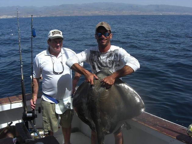 11 OLIKA ARTER De senaste två dagarna har det - Cavalier & Blue Marlin Sport Fishing Gran Canaria