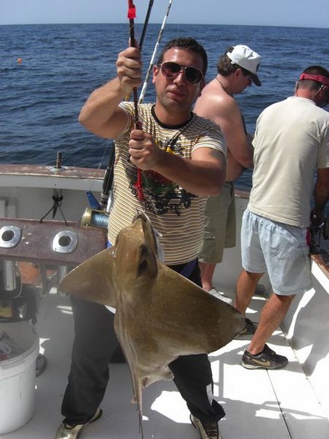 eagle ray Cavalier & Blue Marlin Sport Fishing Gran Canaria