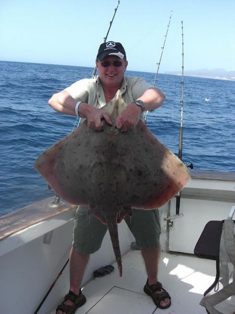 thornback ray Cavalier & Blue Marlin Sport Fishing Gran Canaria