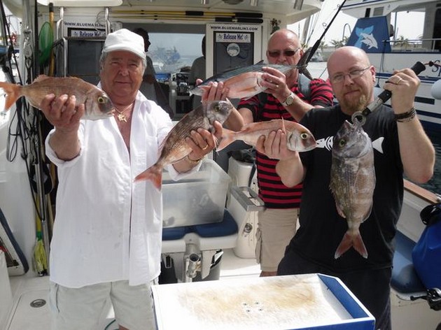 12/03 red snappers - bonito Cavalier & Blue Marlin Sport Fishing Gran Canaria