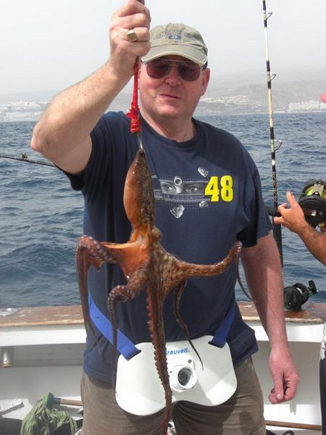 SUNNY 28 DEGREES<br><br>Today it was here in Gran Canaria - Cavalier & Blue Marlin Sport Fishing Gran Canaria