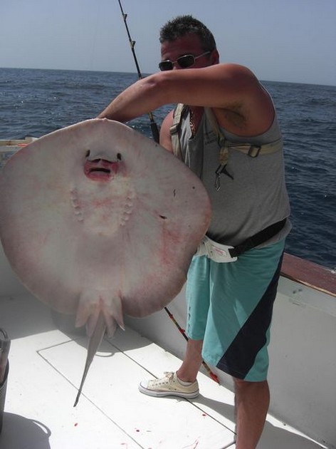 roughtail stingray Cavalier & Blue Marlin Sport Fishing Gran Canaria