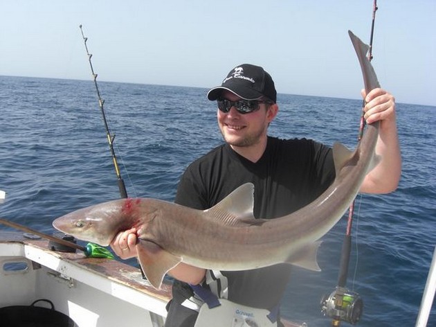 tope shark Cavalier & Blue Marlin Sport Fishing Gran Canaria