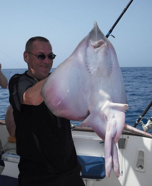 16/03 bottle nosed skate Cavalier & Blue Marlin Sport Fishing Gran Canaria