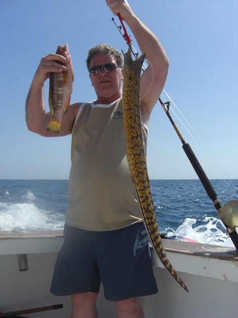 comber & tiger moray Cavalier & Blue Marlin Sport Fishing Gran Canaria